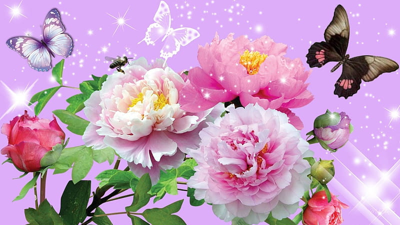 Paeonia, painting, blossoms, spring, butterflies, artwork, HD wallpaper