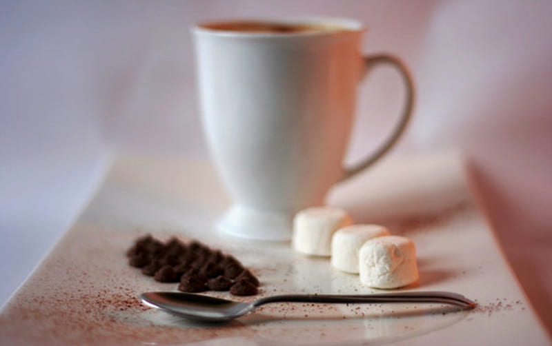 Hot Chocolate, marshmellows, warm, chocolate, cocoa, winter, HD wallpaper
