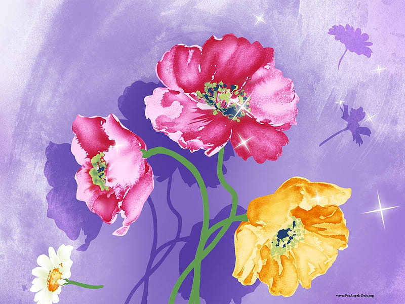 Flowers, flower, yellow, pink, anemone, HD wallpaper