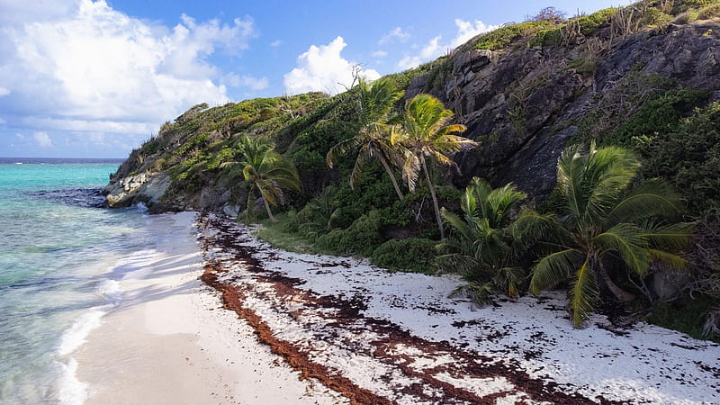 Jamesby island, The Grenadines, sky, coast, sea, trees, clouds, caribbean, HD wallpaper