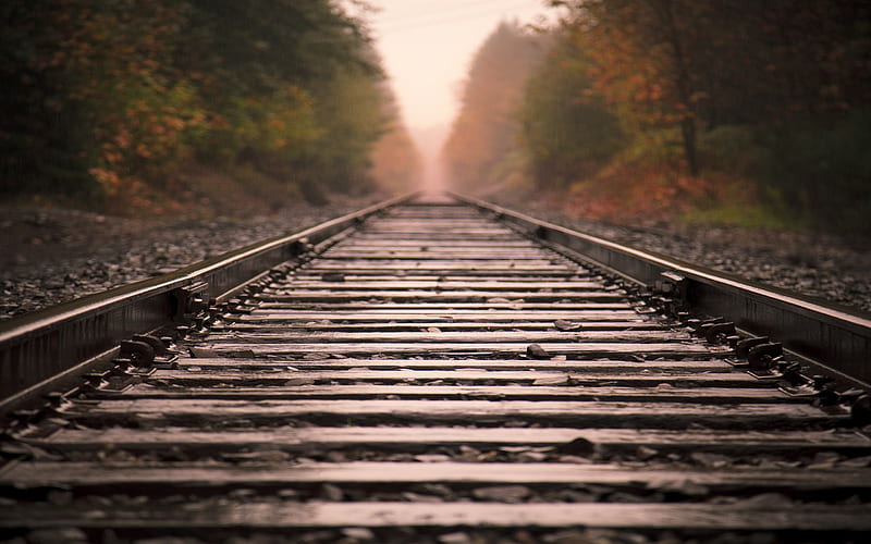 railroad tracks-Trains and Railway Series, HD wallpaper