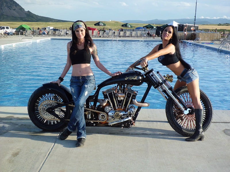 Custom Harley, bike, model, harley, motorcycle, HD wallpaper