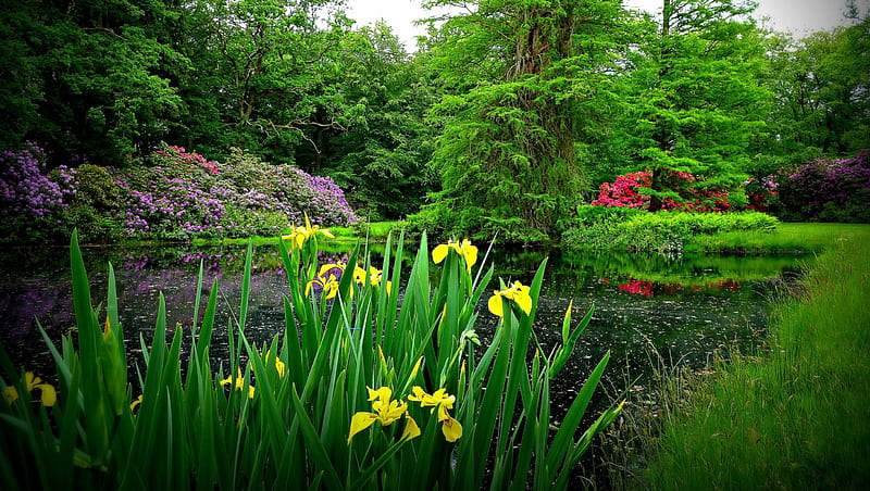 Hermoso parque de primavera - r, parques, paisajes, flores, naturaleza,  primavera, Fondo de pantalla HD | Peakpx