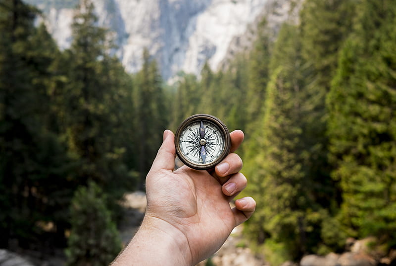 person holding compass facing towards green pine trees, HD wallpaper