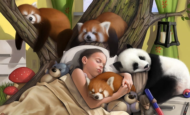 Sleeping, panda bear, art, little, sleep, luminos, animal, cute, red panda,  fantasy, HD wallpaper | Peakpx