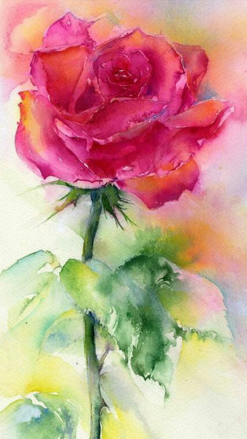 Water color rose, drawn, leaf, love, nature, painting, red, HD phone  wallpaper | Peakpx