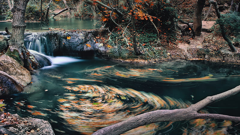 Earth, River, Fall, Leaf, HD wallpaper