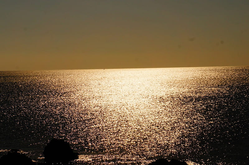 golden ocean, sun, wind, golden, ocean, HD wallpaper