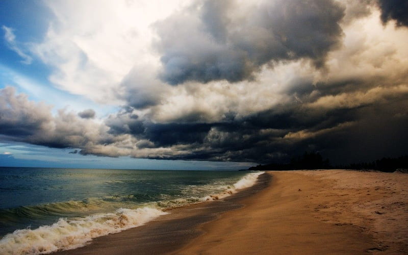 On the beach after a storm . Background screensavers, Clouds, Storm, 1280X800 Beach, HD wallpaper