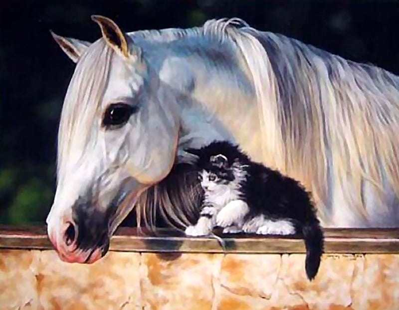 Pint-sized Friend F, art, equine, bonito, cat, horse, artwork, animal, feline, painting, kitten, HD wallpaper