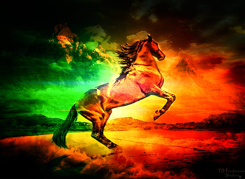 Wild Horse Color, animals, pets, HD wallpaper