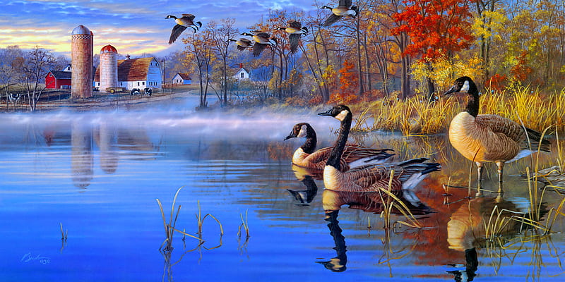 In from the fields, reflection, lake, fall, autumn, birds, ducks, swans, mist, pond, tranquil, serenity, painting, village, HD wallpaper