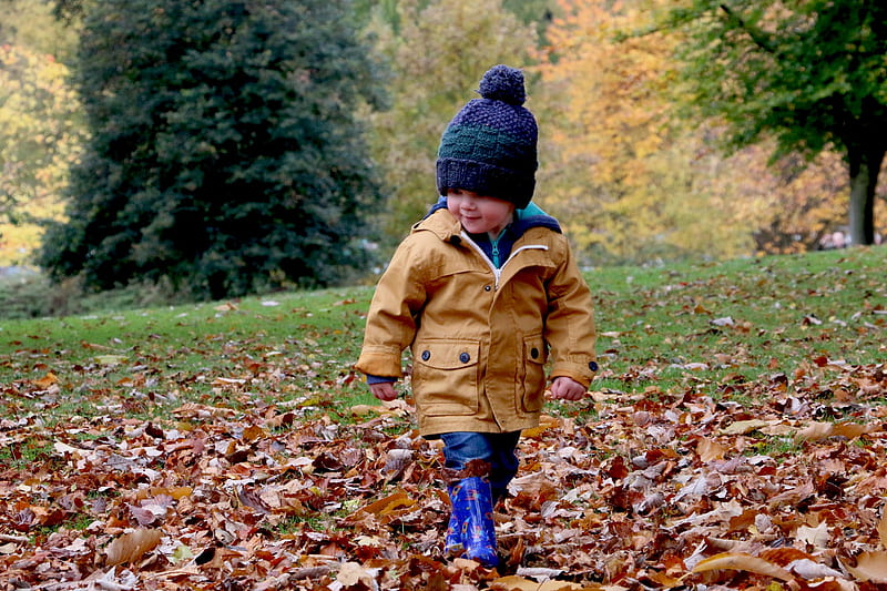 boy wearing orange bubble jacket walking on dry fallen leaves on ground, HD wallpaper