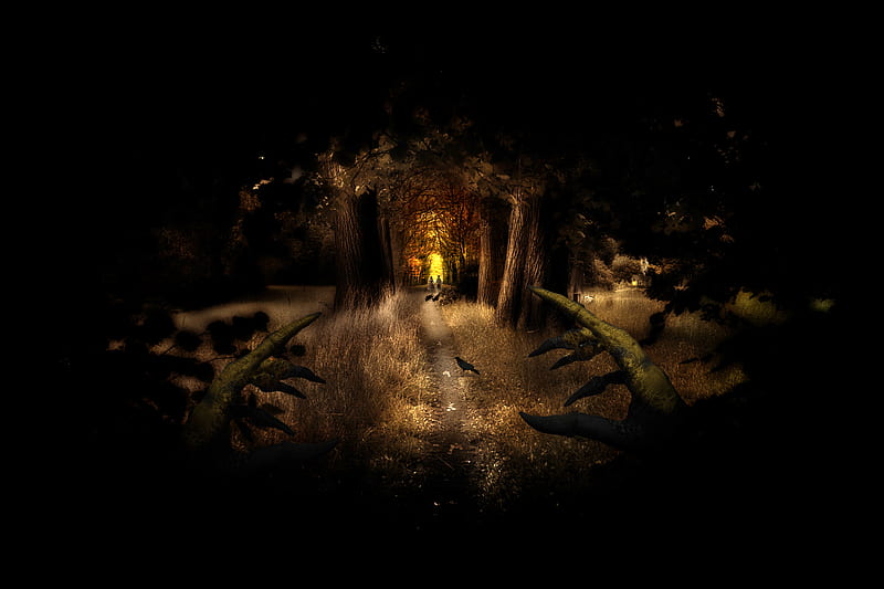 HANSEL and GRETEL , forest, raven, cottage, gretel, granola, witch hands, hansel, shadows, path, mysterious light, night, HD wallpaper