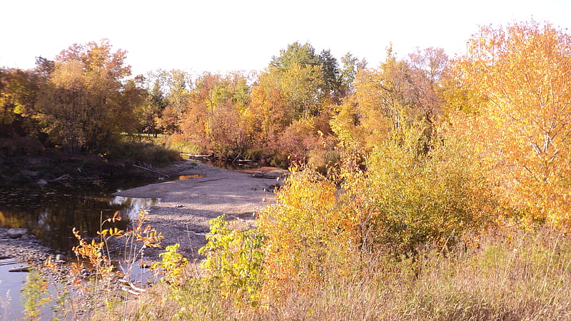 Dryed up river bed, fall, color, autumn, scenery, HD wallpaper