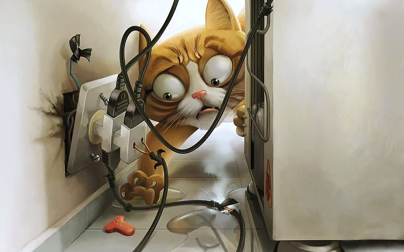 cat, refrigerator, sockets, electricity, funny characters, HD wallpaper