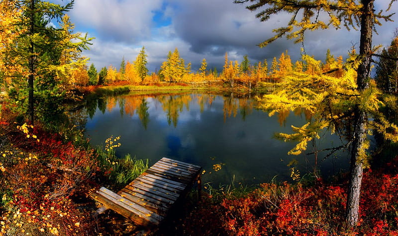 Autumn silence, autumn, calmness, silence, pier, trees, sky, clouds ...