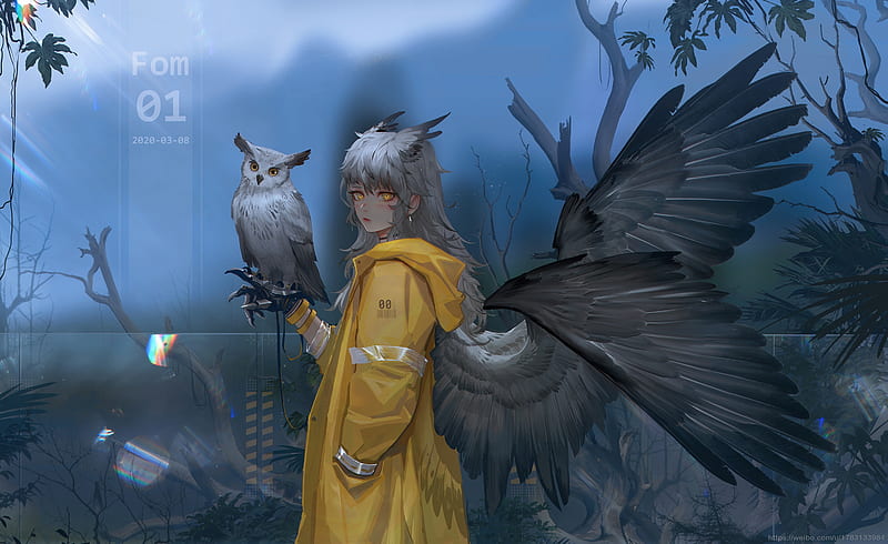 anime angel girl, wings, coat, owl, yellow coat, gray hair, Anime, HD wallpaper