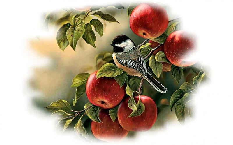 Chickadee 2, art, apples, artwork, animal, apple tree, bird, chickadee, avian, painting, wide screen, wildlife, HD wallpaper