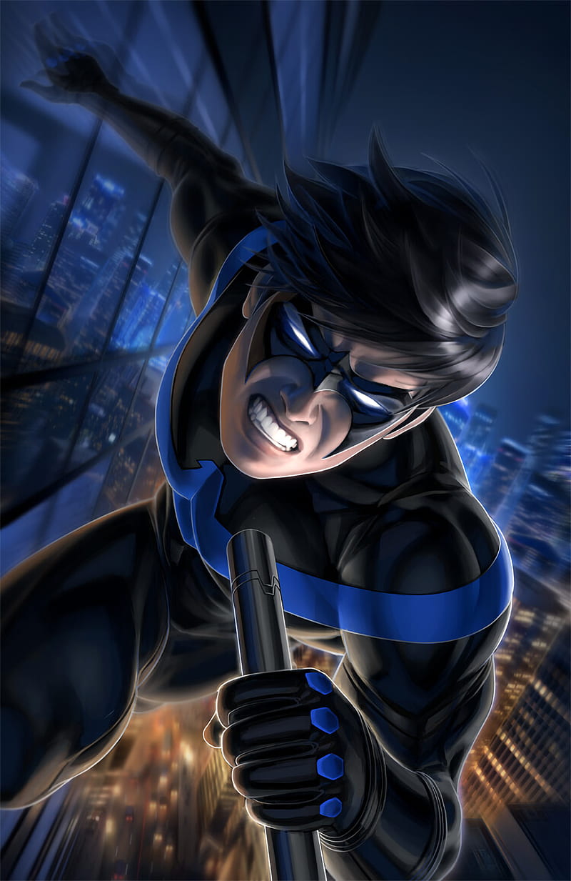 Nightwing Fighting Art, HD phone wallpaper