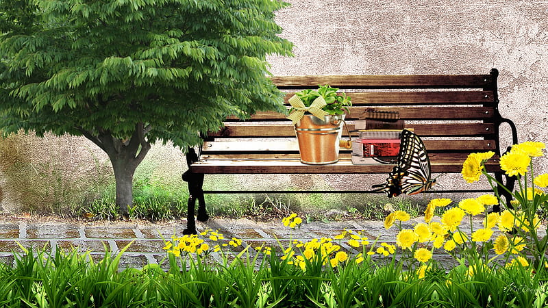 A Place to Rest, books, bench, spring, read, building, tree, butterfly, plants relax, sidewalk, summer, flowers, HD wallpaper