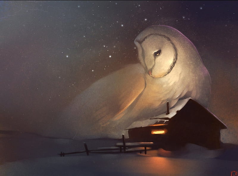 Spirit Of The Night, owl, fantasy, cabin, night, winter, HD wallpaper