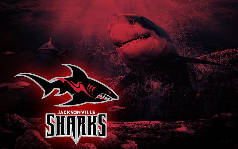 Jacksonville Sharks - Wikipedia