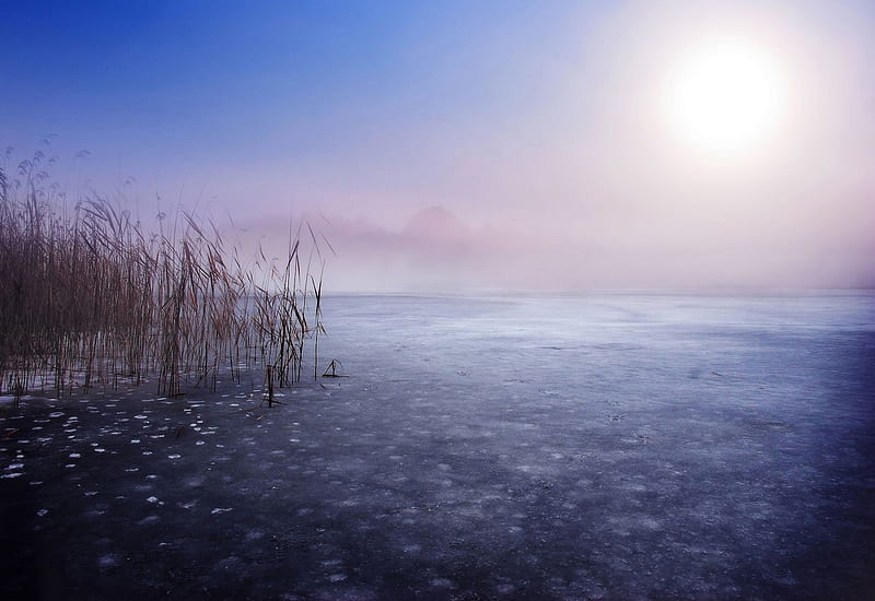 Morning fog, silent, sun, background, bonito, fog, cold, sunrise, blue, place, winter, lake, icy, ice, nature, landscape, HD wallpaper