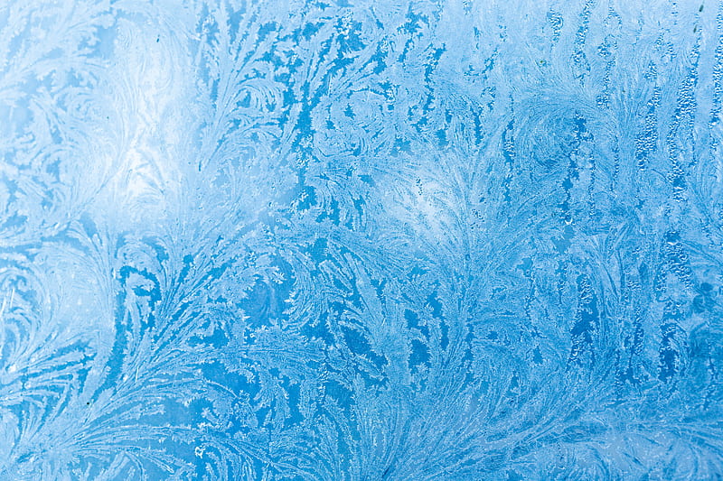 frost, glass, pattern, ice, frozen, HD wallpaper