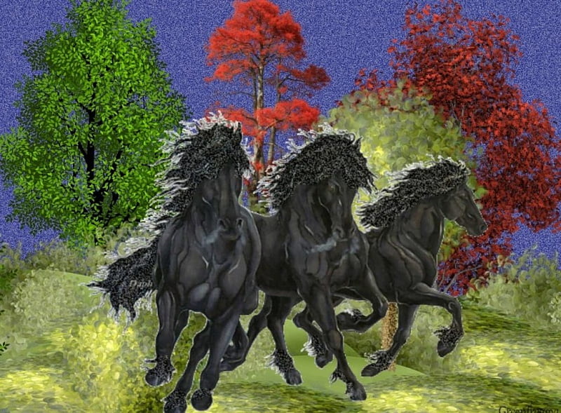 BLACK STALLIONS, THREE HORSES, ABSTRACT, HD wallpaper