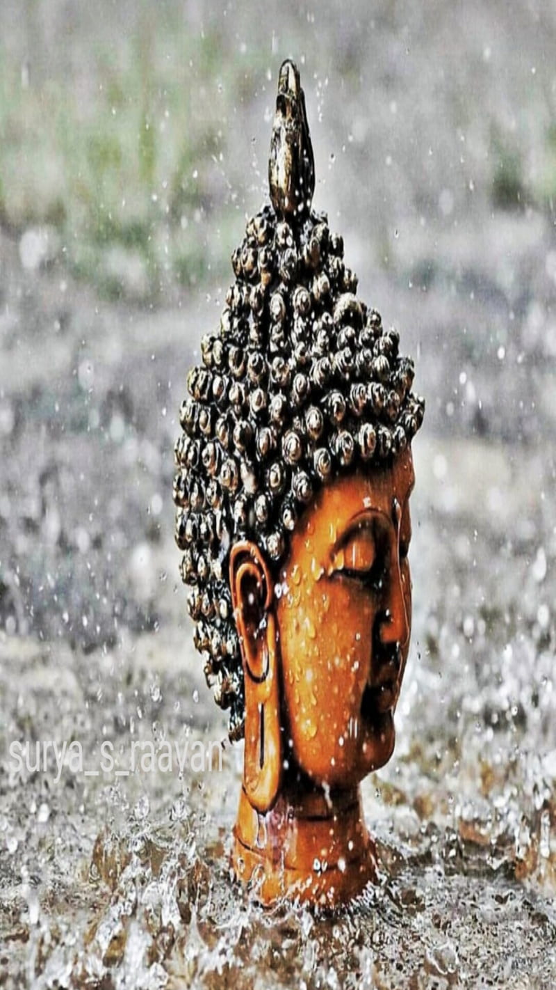 Buddha, buddhism, lord buddha, HD phone wallpaper