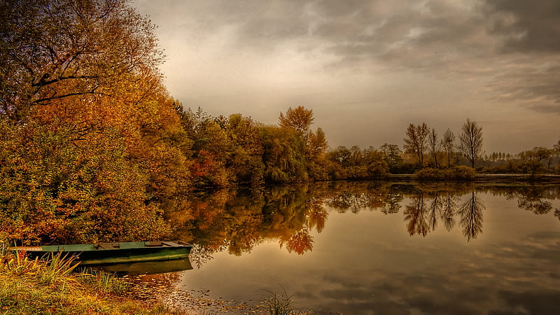 Golden Tones of Autumn, blissful, gold, boat, pristine, shimmer, shine, bonito, HD wallpaper