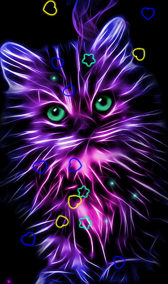HD neon kitty wallpapers  Peakpx