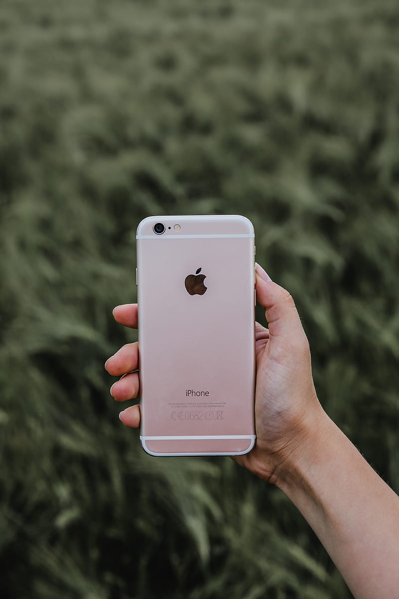 Person holding rose gold iPhone 6s, HD phone wallpaper | Peakpx