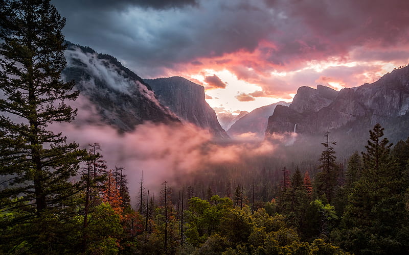 Yosemite Valley, sunset, Yosemite National Park, forest, California, USA, America, HD wallpaper