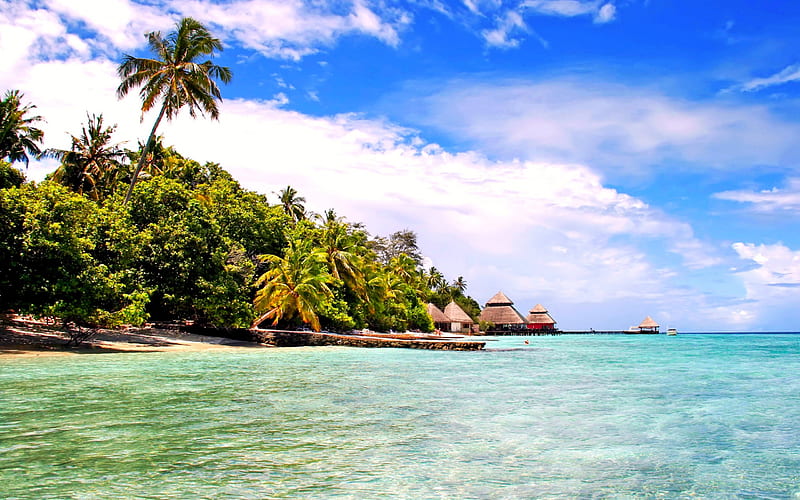 Maldives, beach, tropical islands, ocean, summer, palms, summer vacation, HD wallpaper