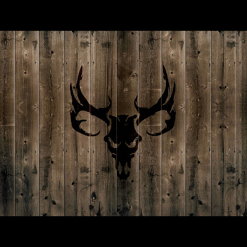 Buck, deer, skull, country, hunter, HD phone wallpaper | Peakpx