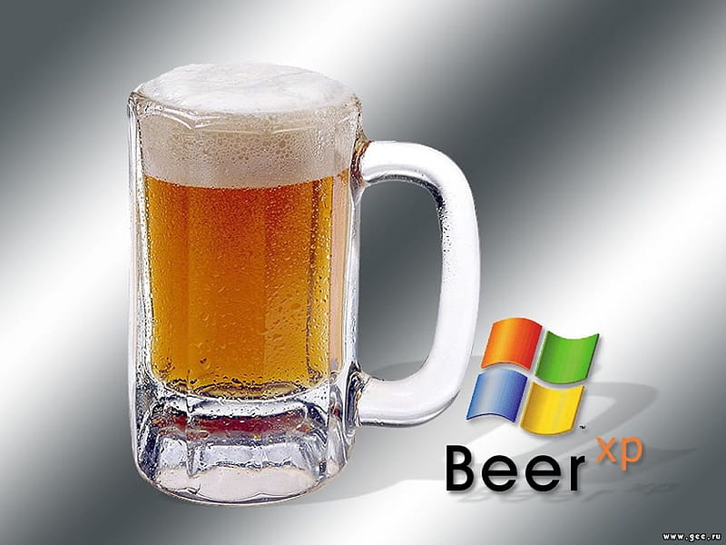 XP edition, glass, windows, grayscale, beer, HD wallpaper