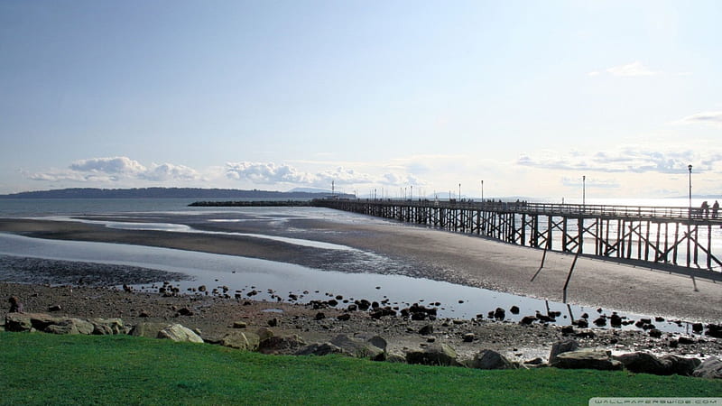 the pier at white rock vancouver, bay, grass, low tide, pier, HD wallpaper