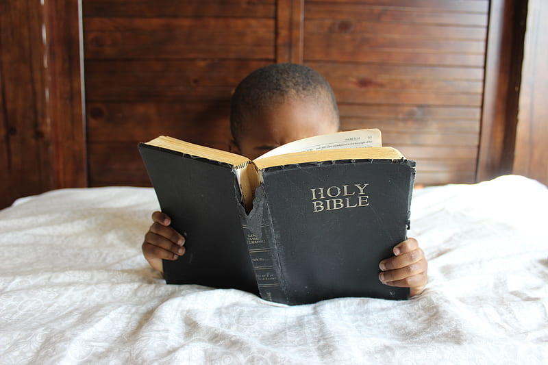 boy reading Holy Bible while lying on bed, HD wallpaper