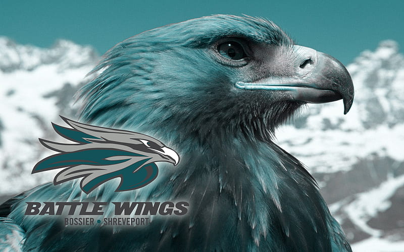 Bossier-Shreveport Battle Wings, battle wings, shreveport, afl, arena football league, bossier, football, HD wallpaper