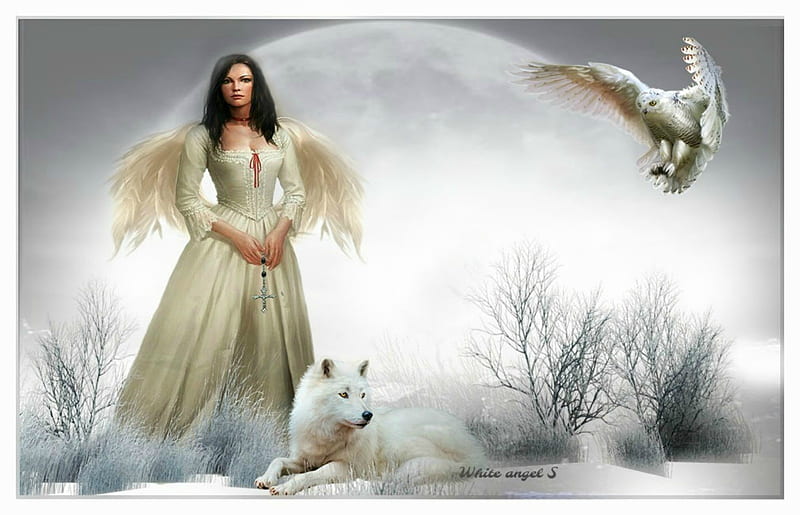 angel, owl, fantasy, wings, black and white, wolf, lady, HD wallpaper