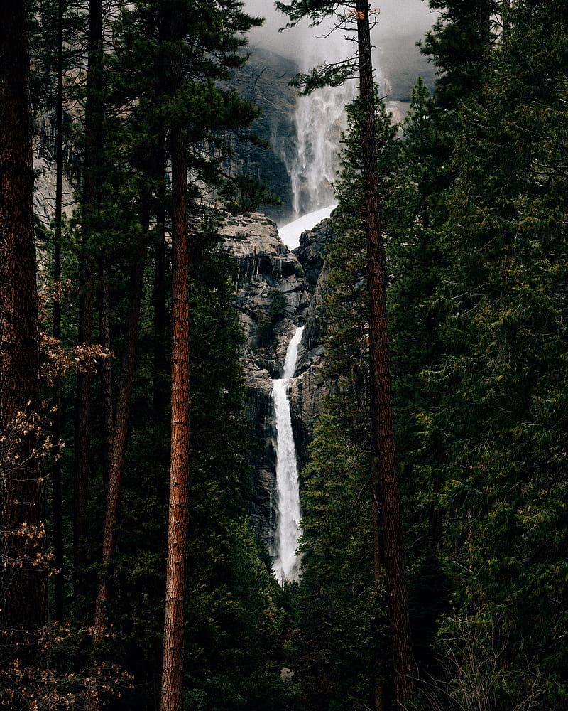 waterfall, trees, water, flow, break, HD phone wallpaper