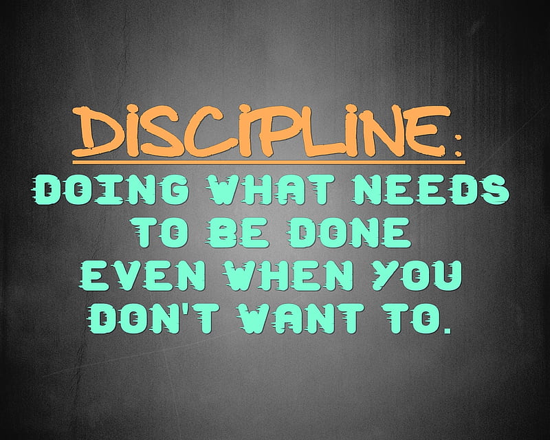 discipline, cool, do, live, needs, new, quote, saying, sign, want, HD wallpaper