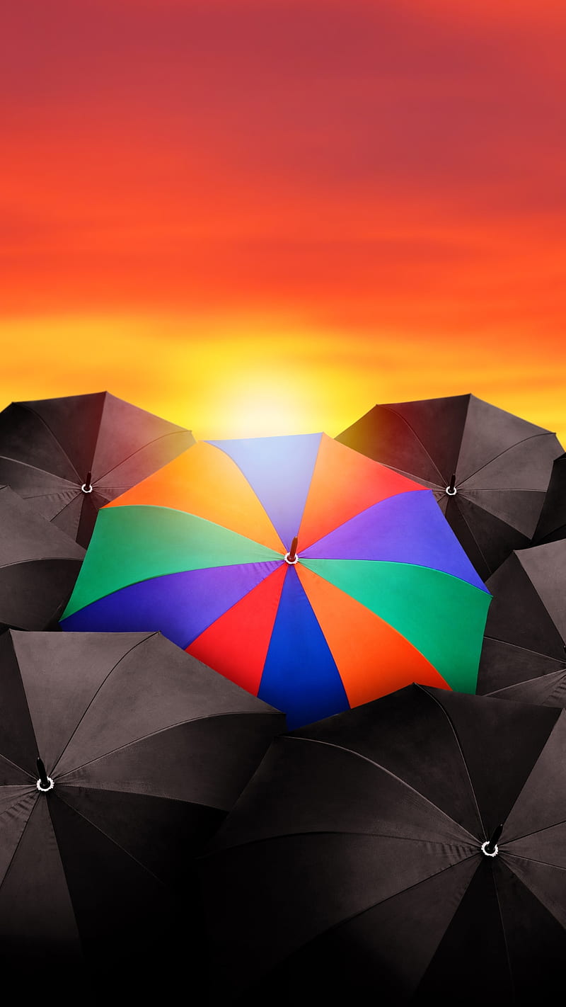 Umbrellas, black umbrellas, colorful umbrella, colors, nature, orange, rainbow, sun, sunset, HD phone wallpaper