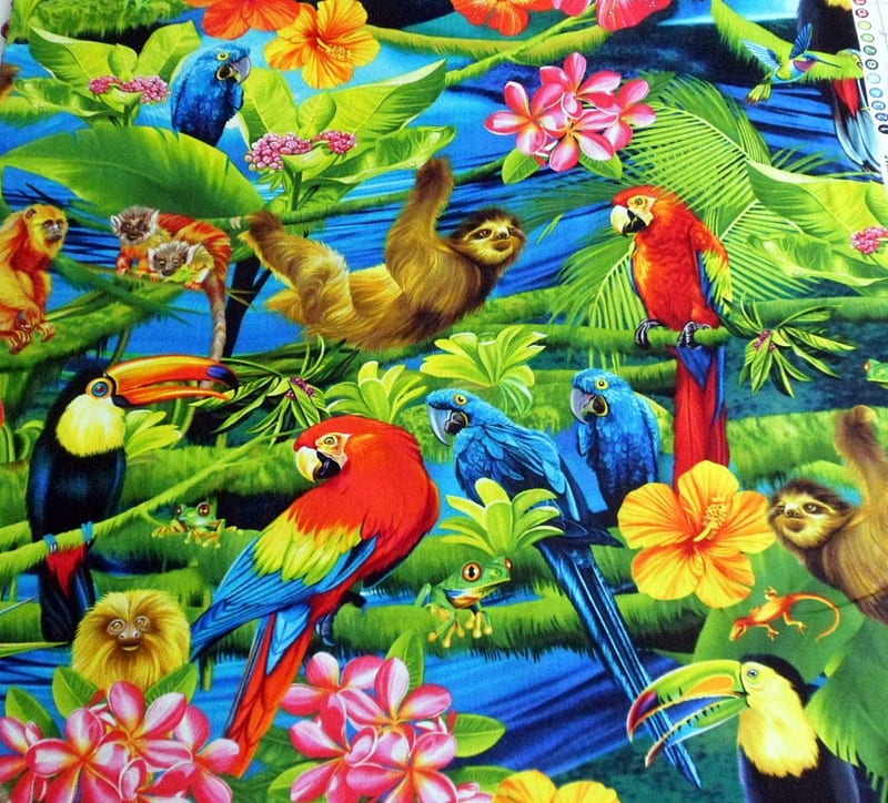 TROPICAL BIRDS, ANIMALS, PARADISE, PLANTS, TROPICAL, BIRDS, FLOWERS, HD wallpaper
