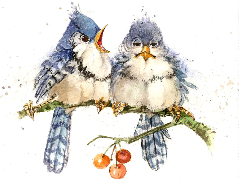 Blue Jay Squawk F, art, bonito, illustration, artwork, animal, fruit, bird, avian, painting, wide screen, wildlife, blue jay, HD wallpaper