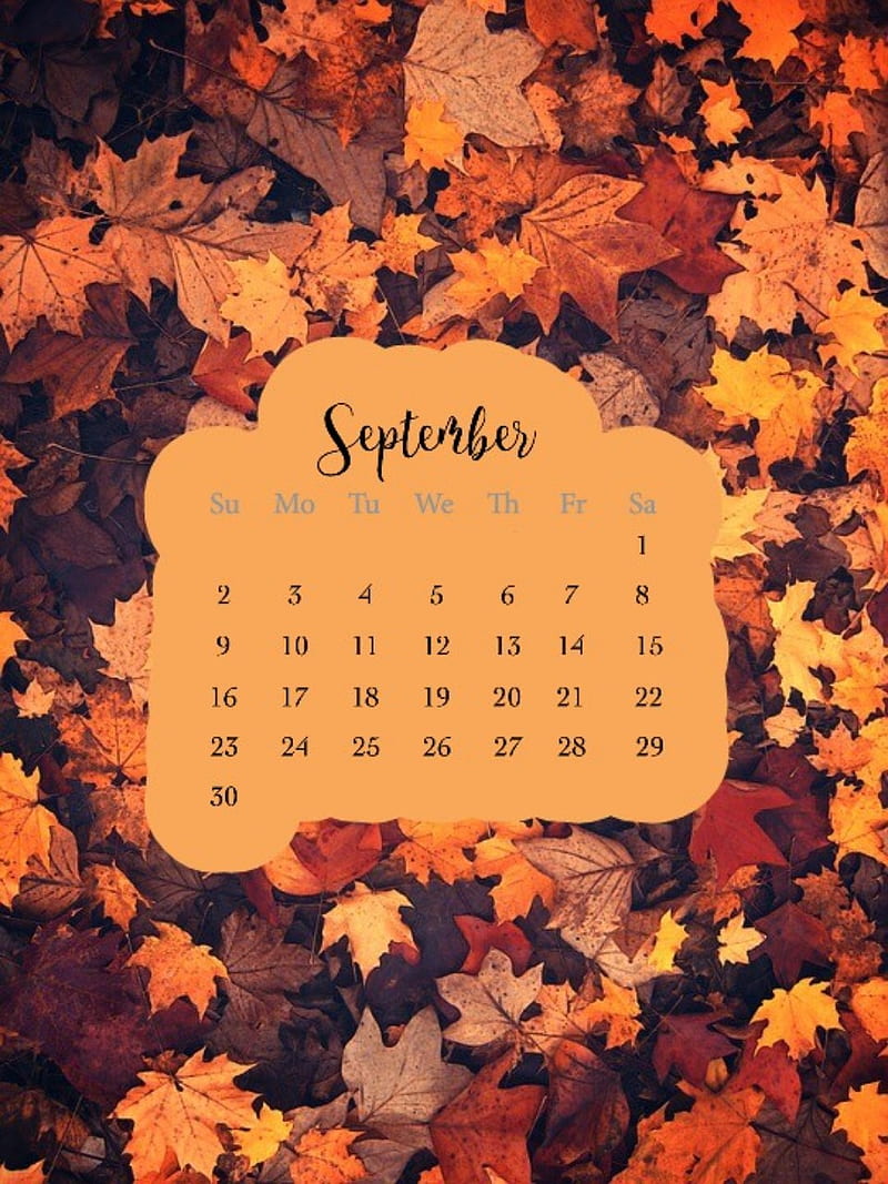 September, autumn, black, color, fall, happy, quote, quotes, sad, sayings,  HD phone wallpaper | Peakpx