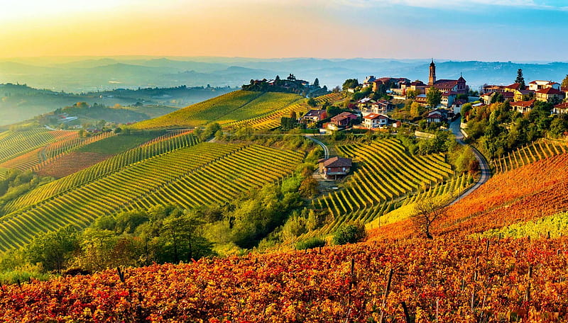 Langhe Region in Italy, vineyards, houses, piemont, hills, village, sky, HD wallpaper