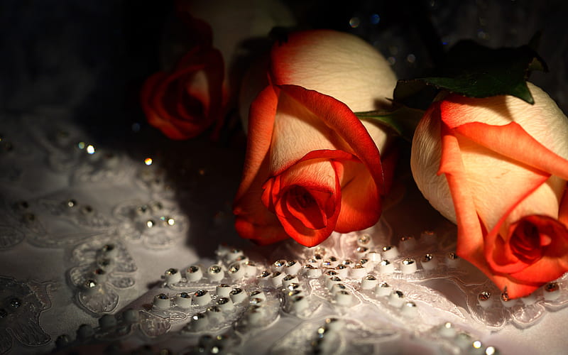 Beautiful Roses, with love, red, pretty, orange, rose, bonito, rhinestones, still life, orange roses, graphy, pearl, love, flowers, beauty, gems, for you, light, lovely, romantic, romance, colors, orange rose, petal, roses, diamonds, flower, nature, HD wallpaper